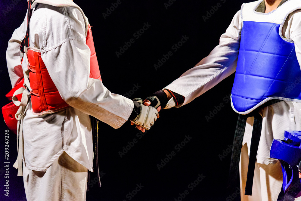 Αφίσα Two Taekwondo are handshake