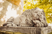 Sculpture Of Sleeping Lion In Lviv