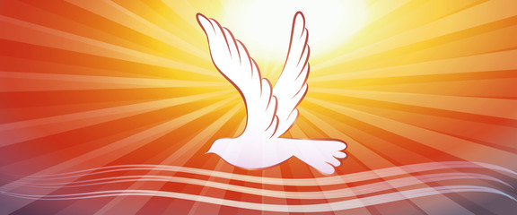 Web banner concept christian baptism with water waves and dove on sunset background