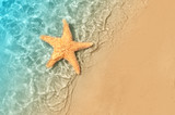 Fototapeta Do akwarium - starfish on the summer beach in sea water.
