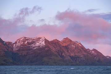 Sticker - Sunrise at Jason Bay, South Georgia Island, Antarctic