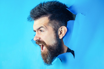 Wall Mural - Screaming man looking through hole in blue paper. Bearded man making hole in paper. Angry man peeking from hole in wall. Copy space for advertising. Breaking paper.