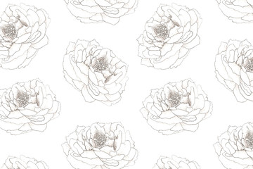 Hand drawn floral pattern for  textile, fabric, paper, wallpaper. Peony flowers on the white background.