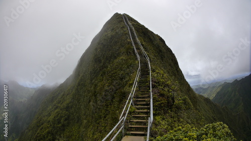 Fotomural stairway to heaven metal stairs on mountain ridge hike Oahu island Hawaii