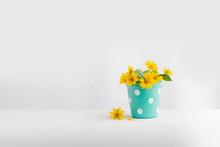 Yellow Flower In The Cute Pot White Background