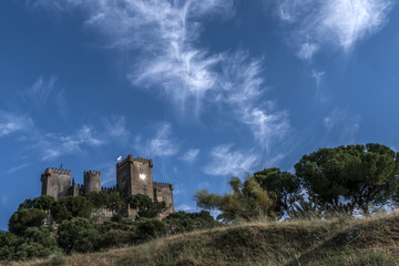 Castle of Almodovar del Rio, It is a fortitude of Moslem origin, it was a Roman fort and the current building has definitely origin Berber, take in Almodovar of the Rio, Spain