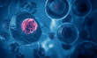 Embryonic stem cells , Cellular therapy