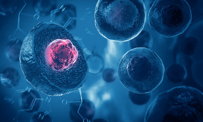 Wall Mural - embryonic stem cells , cellular therapy