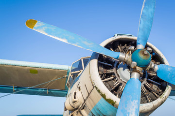 Wall Mural - Old plane