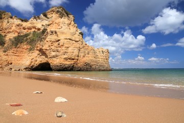 Wall Mural - Algarve beach shells