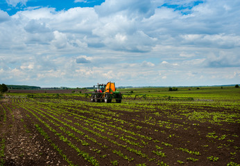 Fototapete - tractor, sugar beet, spraying on field