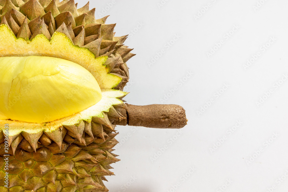 Mon Thong Durian thai fruit nickname king of fruits Yellow in side Out ...