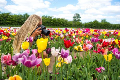 Junge Frau Beim Fotografieren In Einem Blumenfeld Kaufen Sie