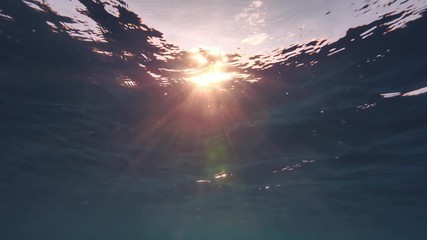 Wall Mural - ocean water surface with sun and sunbeams