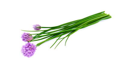 Wall Mural - Fresh green chives, garden herbs, with their purple flowers Isolated against a white background.