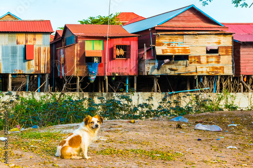 Fotografia, Obraz Poor life, houses and huts in Phnom Krom village, Siem Reap, Cambodia