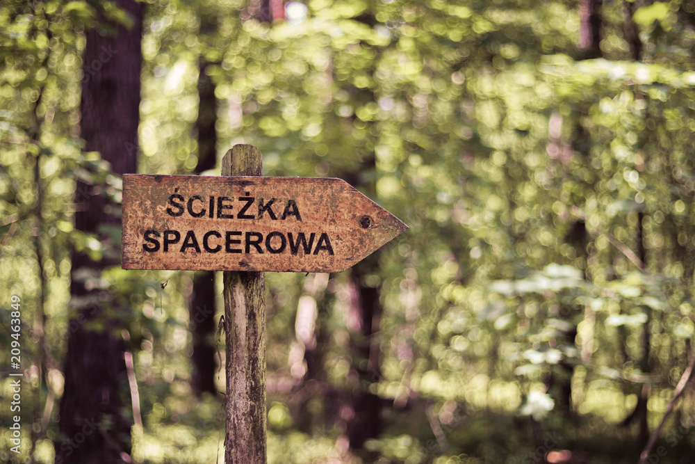 Sign "walking path" in polish Kampinos National Park (Kampinoski Park Narodowy), Mazovia, Poland. - obrazy, fototapety, plakaty 