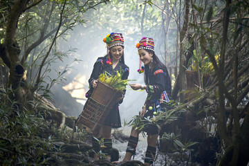 Wall Mural - A traditional Hmong girl with a basket of agricultural crops walking in a green forest in Sapa, northern Vietnam.