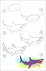 Wall Mural - page shows how to learn step by step to draw a cute shark. developing children skills for drawing an