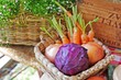 Fresh, raw vegetables for cooking:carrots and onions in a basket with flowers background. Selective focus. Selective focus. Close up.