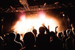 © Danil Nikonov - Silhouettes of people in a bright in the pop rock concert in front of the stage. Hands with gesture Horns. That rocks. Party in a club. Sold out.