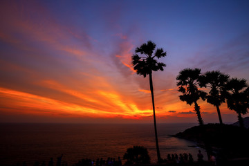 Wall Mural - Palm trees & Sunset view at Phuket Island, Thailand