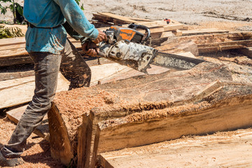 Man woodcutter cutting wood timber logs. He using a gasoline engine chainsaw as a main tool.