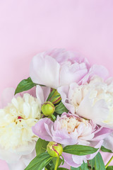 Wall Mural - Beautiful bouquet of pink and white peonies flowers on pink background with copy space, vertical picture