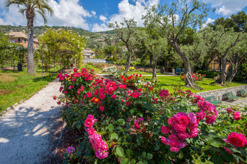 GENOA (GENOVA), ITALY, MAY 18, 2018 - The rose garden 