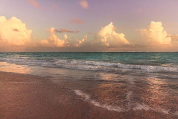 
Beautiful serene view on ocean with calm foamy waves at sunrise, warm pink pastel colors, sandy beach in early morning.