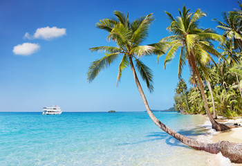 Poster - Tropical beach, Thailand