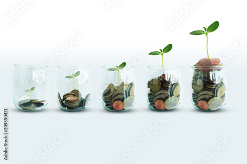 Cuadros en Lienzo Money growing concept with green plant growing progressive from glass jar with c