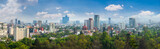 Fototapeta Na drzwi - Panoramic view of Mexico city.