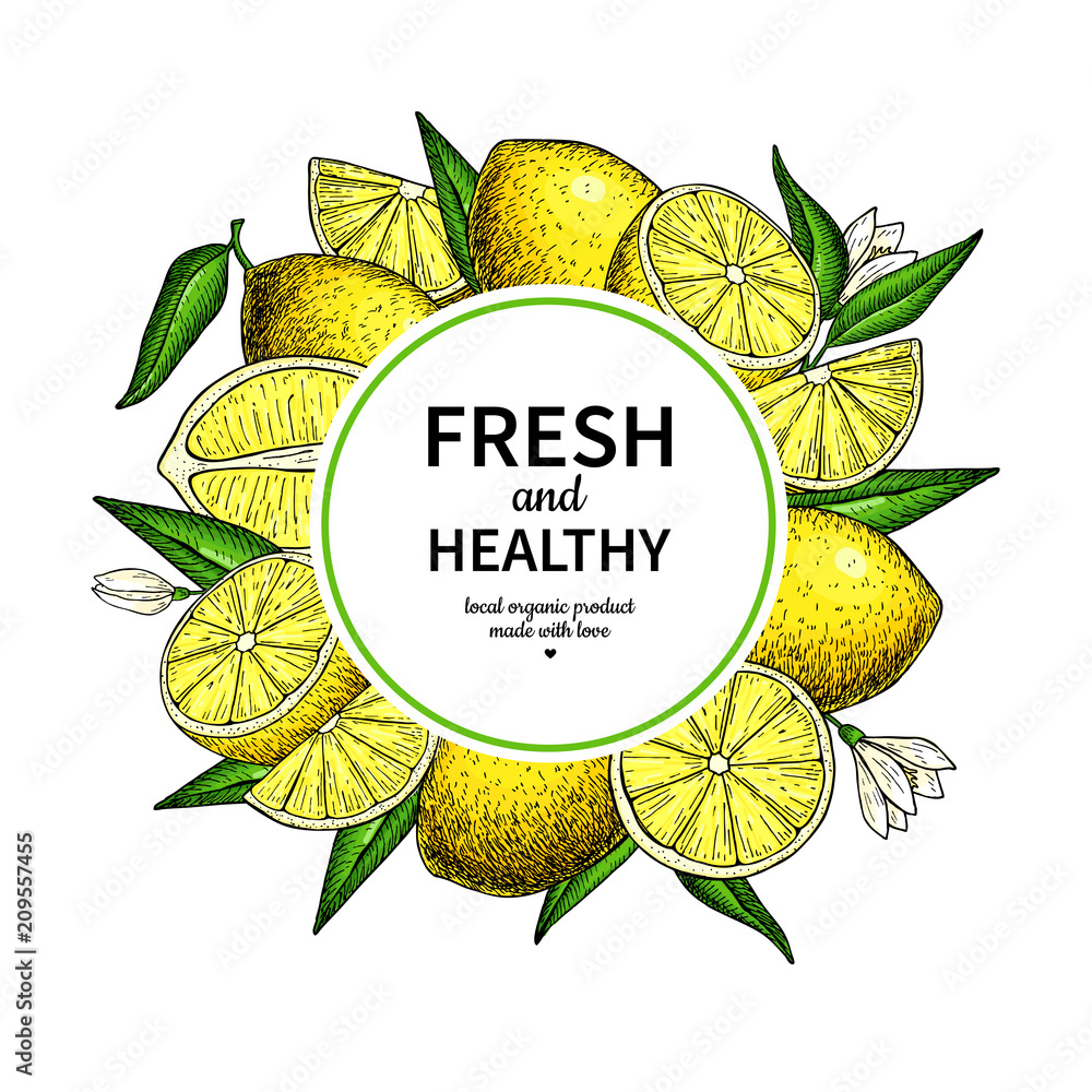 Lemon frame vector drawing. Citrus fruit circle label template. Stock ...