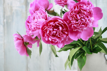 Canvas Print - Bouquet of pink peonies.