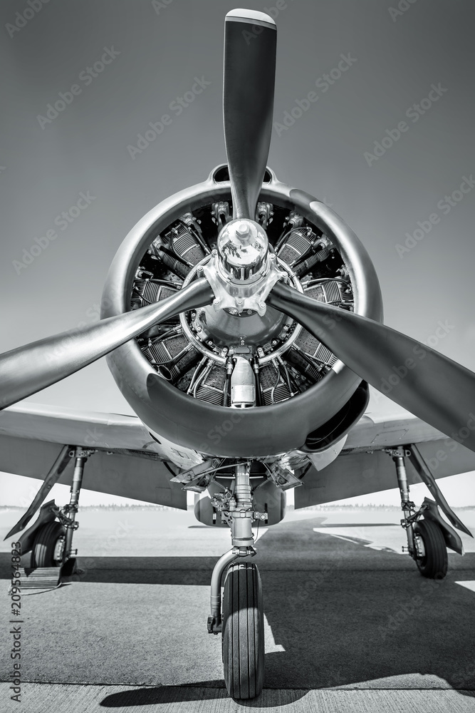 Papel de parede propeller of an sports plane