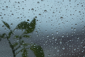 rain drops on window 