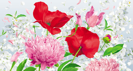 Wall Mural - Red, pink and white spring and summer flowers vector background