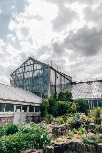 Botanischer Garten Uni Greifswald Juni 2018 Buy This Stock Photo