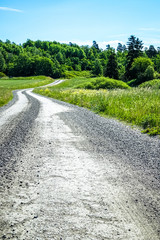 Curvy dirt road in the countryside cutting through a beautiful green meadow with tall grass and wildflowers. Forest and blue sky in background. Sweden, Scandinavia.