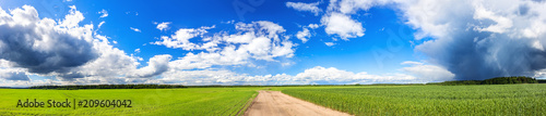 panoramic view of agricultural fields with wheat and rye