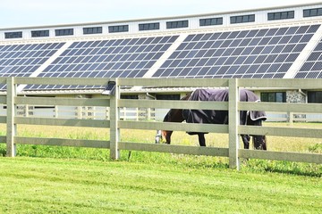 Wall Mural - Horse and Solar Panels