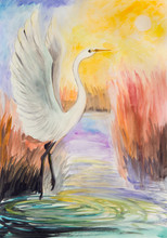 Morning On The Lake. The White Heron Raised Its Wings Against The Background Of The Rising Sun.