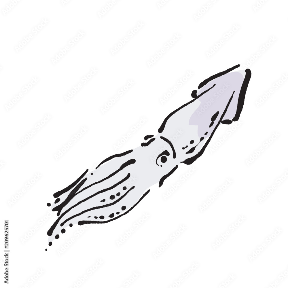 海鮮 いか イラスト Wall Mural Background Background Wallpaper Murals Matsu