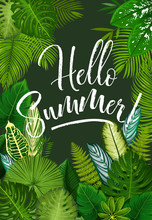Summer Tropical Poster With Green Leaf Of Palm