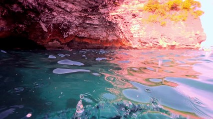 Wall Mural - blue sea wild manta swimming near cliffs underwater shot