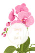 Wedding invitation save date orchid phalaenopsis