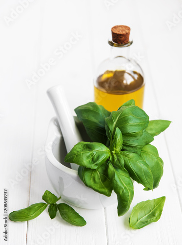 Cuadros en Lienzo Fresh green basil and olive oil