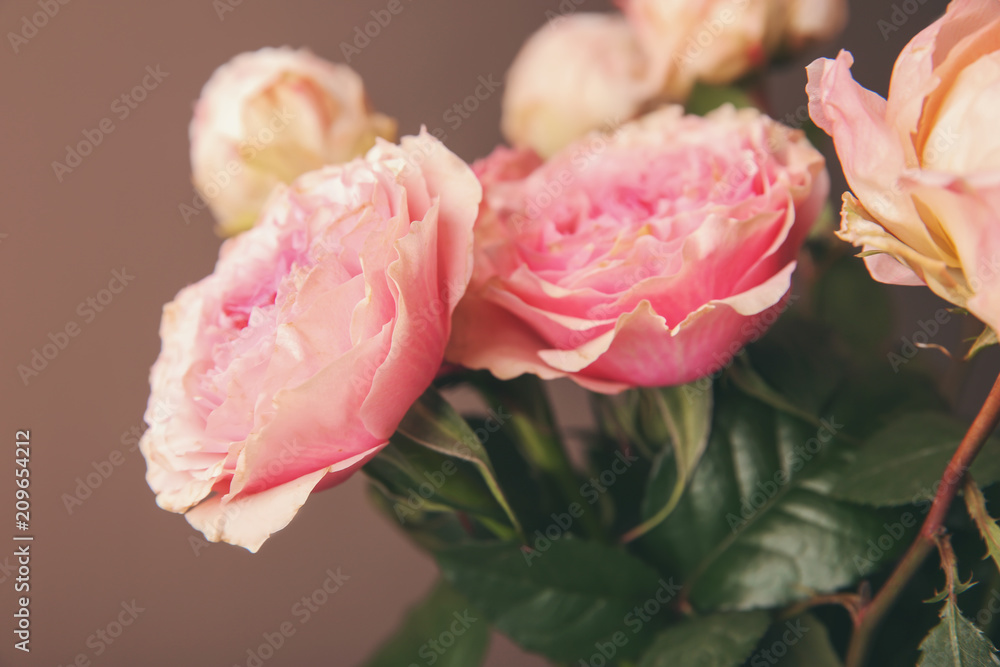 Bouquet of beautiful roses on color background, closeup - obrazy, fototapety, plakaty 