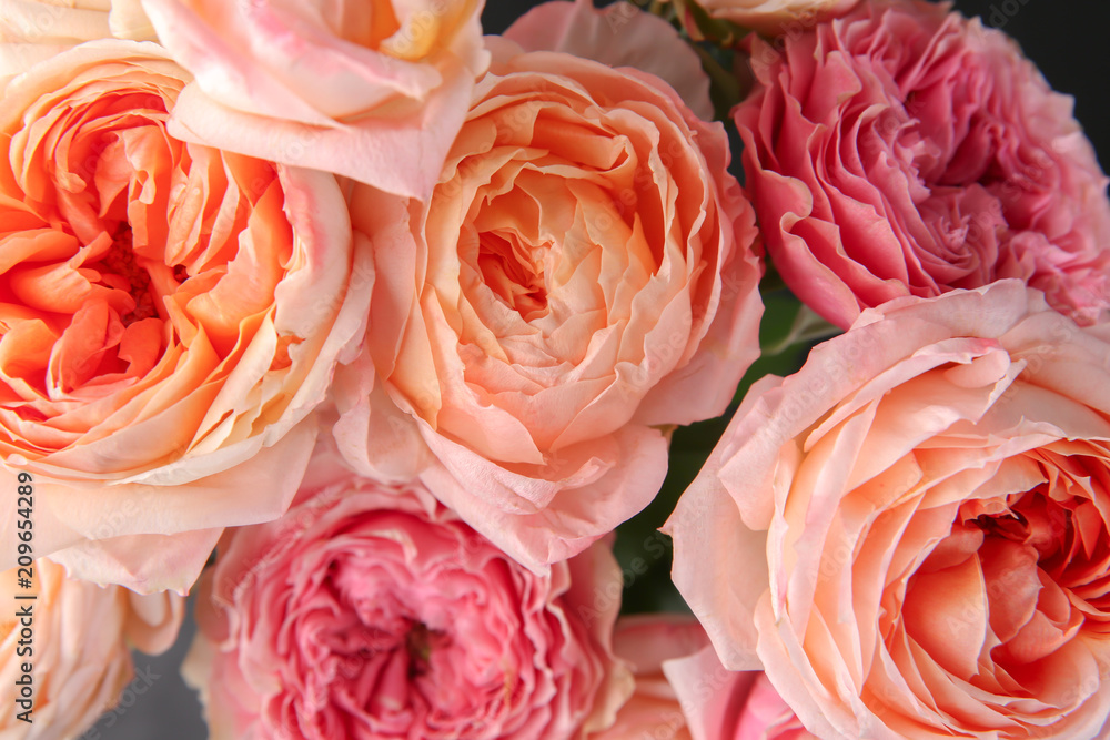 Bouquet of beautiful roses, closeup